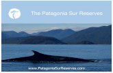 The Patagonia Sur Reserves - Revista Capital• Comprar productos locales tejidos a mano . Medio Ambiente & Conservación Valle California • Plantar árboles con el proyecto de reforestación