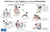 Proteja a su familia y a su comunidad · PROTEJA A SU FAMILIA Y A SU COMUNIDAD CÓMO SE PROPAGA EL ZIKA La mayoría de la gente contrae el zika a través de la picadura de un mosquito
