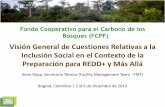 Fondo Cooperativo para el Carbono de los Bosques (FCPF)€¦ · –Diseminación de la información, tal y como se describe en las Directrices sobre la Divulgación de la Información