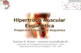 Hipertrofia Muscular Esquelética · Hipertrofia: - Hiper: acima, mais do que o normal - Trofia: nutrição Desenvolvimento excessivo de um órgão ou parte dele, com aumento do peso