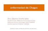 enfermedad de Chagas - HSJD · La enfermedad de Chagas es: Parasitosis ETV Zoonosis Desatendida Si enclosa Invisible o de poca visibilidad para los sistemas nacionales de salud Transmisible