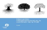 Intercambio intergeneracional en la comunión de la FLM · La sesión intergeneracional del Con-sejo de la FLM se organizó en torno al objetivo y los resultados que figuran a continuación.