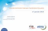 17 janvier 2014 - S3PI HCD · 2015-02-05 · 17/01/2014 2 Comité territorial Hainaut- Cambrésis-Douaisis ... Révision 2013 des statuts Principales motivations 20 janvier 2014 8