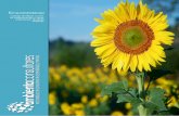 formaciónambiental · formaciónambiental. Catálogo de Máster, Cursos de especialización y Cursos profesionales de Medio Ambiente