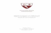 Universidad Abierta Interamericanaimgbiblio.vaneduc.edu.ar/fulltext/files/TC126989.pdf · Tipografía y familias tipográficas ETIQUETAS Se define a la tipografía como el arte o