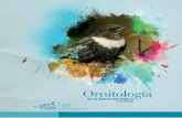 Ornitologíasierradealbacete.com/wp-content/uploads/2016/01/Ornitologia.pdf · más discreto es el ruiseñor bastardo (Cettia cetti), omnipresente en todos los cur - sos de agua de