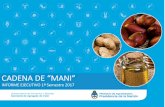 CADENA DE “MANI” - Alimentos Argentinos de Valor … · v Localización de las industrias: Las industrias elaboradoras de maní se encuentran establecidas principalmente en la