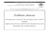 Folleto Anexo - Chihuahuaihacienda.chihuahua.gob.mx/tfiscal/indtfisc/pae/PAE2017.pdf · 2017-04-21 · Miércoles 19 de abril de 2017. ANEXO AL PERIÓDICO OFICIAL 1 Folleto Anexo