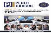 Por la Excelencia y la Transparencia Judicial 1 · 2018-12-11 · Por la Excelencia y la Transparencia Judicial 3 Pleno Consejo Nacional de la Judicatura (2016-2021) Sentadas (de