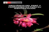 ORQUÍDEAS DEL PERÚ Y HERRAMIENTAS PARA SU … · 2019-03-11 · 14 Orquídeas del Perú y herramientas para su identificación En el Perú, las orquídeas están incluidas en dos