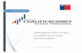 Introducción a las Cualificaciones Sectorialesmarcodecualificacionestp.mineduc.cl/wp-content/... · En otras palabras, ^el Sistema Nacional de Cualificaciones Profesionales (SNCP)