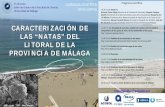 Presentación de PowerPoint - UMA · xara HiDRALiA Empresa Municipal Aguas de Málaga 00 . Title: Presentación de PowerPoint Author: Proyectos Created Date: 6/7/2018 1:32:30 PM ...