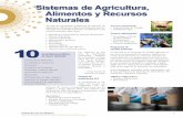 Sistemas de Agricultura, Alimentos y Recursos Naturales · 2017-01-12 · 11 "El área de aprendizaje profesional de Sistemas de Agricultura, Alimentos y Recursos Naturales está
