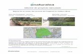 Informe de proyecto ejecutado - Naturalea · INTRODUCCIÓN La intervención tenía por objetivo mejorar las condiciones de paso del torrente del Caganell (Riera de ... Acondicionamiento