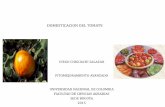 DOMESTICACION DEL TOMATE - custodiosdesemillas.orgcustodiosdesemillas.org/.../uploads/2017/08/Domesticacion-del-tom… · El tomate es una especie perteneciente a la familia de las