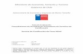 Ministerio de Economía, Fomento y Turismo Gobierno de Chile€¦ · Fomento y Turismo (Ex Ministerio de Economía Fomento y Reconstrucción) de Chile en conformidad a la Ley N°19.799