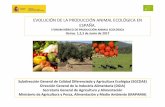 EVOLUCIÓN DE LA PRODUCCIÓN ANIMAL ECOLÓGICA EN ESPAÑA. · 6/8/2017  · Evolución del censo de ganado ecológico en España. EVOLUCION DEL CENSO DE GANADO ECOLOGICO EN ESPAÑA