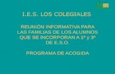 I.E.S. LOS COLEGIALES · Recursos para la atención a la diversidad Profesor/a de Pedagogía Terapéutica (Apoyo fuera de aula ordinaria en 1º y 2º de E.S.O.) Programas para la