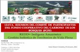 12AVA. REUNION DEL COMITÉ DE PARTICIPANTES DEL FONDO ... · •Verificación de (i) reducción de emisiones, (ii) conservación de Servicios ecosistémicos , (iii) promoción de