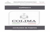 CAPÍTULO IIadmiweb.col.gob.mx/archivos_prensa/banco_img/file... · CAPÍTULO II. CATÁLOGO DE PUESTOS : CAPÍTULO II: CATÁLOGO DE PUESTOS “La Información contenida en el presente
