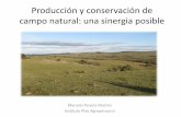 Producción y conservación de campo natural: una sinergia ... LB/Taller... · 0 0,1 0,075 0,05 0,025 0 SISTEMA PASTIZAL SISTEMASISTEMA PREDIAL ECOLOGICO % AMB NAT x 1 % Pastura x