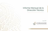 Informe Mensual de la Dirección Técnica - gob.mx · 2019-07-29 · Cifras desestacionalizadas –Mayo de 2019 Principales tasas Porcentaje Diferencia en puntos porcentuales respecto