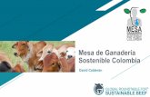 Mesa de Ganadería Sostenible Colombia...03- MesaColombiana de Ganaderia Sostenible_GRSB_SaoPaulo_VersionFinal Created Date: 7/16/2019 2:42:39 PM ...