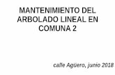 MANTENIMIENTO DEL ARBOLADO LINEAL EN COMUNA 2 junio … · Beneficios de la copa de los árboles: - Reducen la temperatura - Interceptan y ralentizan la caída del agua de lluvia