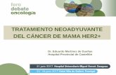 TRATAMIENTO NEOADYUVANTE DEL CÁNCER DE MAMA HER2+ · 2017-06-27 · –Cáncer de mama HER2 positivo de alto riesgo, definido como: tamaño tumoral mayor de 2 cm con o sin afectación