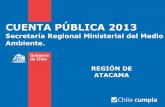 Secretaría Regional Ministerial del Medio Ambiente....de Residuos Sólidos en la Región de Atacama”, que busca identificar las deficiencias y fortalezas de la gestión de los residuos