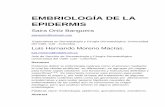 176 Embriologia de la epidermisantoniorondonlugo.com/wp-content/uploads/2010/05/174-Embriologi… · Podemos definir la embriología cutánea como el proceso mediante el cual las