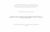 UNIVERSIDAD TÉCNICA DE MACHALA FACULTAD DE CIENCIAS ...repositorio.utmachala.edu.ec/bitstream/48000/1979/... · 1. Fórmulas y características físicas y químicas de los ácidos