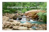 Ecogeografía de Puerto Ricoacademic.uprm.edu/~jchinea/cursos/ecolplt/ecogeopr09.pdfSistema de clasificación de zonas de vida de Holdridge • Basado en biotemperatura y precipitación.