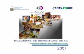 Ciaj 2007 - iieg.gob.mx · En el estadode Jalisco, la industria alimenticia ha ocupado unrelevantelugar dentro de la industria manufacturera, ya que desde los inicios de la