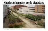 Fuente: fotografía cedida por la Red de Huertos Urbanos ...rua.ua.es/dspace/bitstream/10045/28372/6/HUERTOS_URBANOS.pdf · “Los huertos municipales sostenibles son terrenos públicos