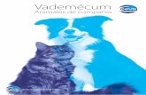 Vademécum - Royal Indálicaroyalindalica.com/web/wp-content/uploads/2019/08/... · de nuestros expertos en comunicación veterinaria y, además, podrás compartir dudas y reflexiones