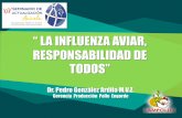 Presentación de PowerPoint - Fenavi Santander...Dr. Pedro González Ardila M.V.Z. Gerencia Producción Pollo Engorde BIOSEGURIDAD Herramientas y medidas que complementan los programas