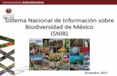 Sistema Nacional de Información sobre Biodiversidad de ... · Biodiversidad • Creada en 1992, es intersecretarial y está presidida por el Presidente de la República • Promueve