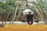 PRODUCCION BANANERA - IFA · Presentación4 2. Introducción5 3. Aspectos teóricos y metodológicos del problema socio-ambiental y de la salud 7 4. Exposición y Efectos en Ambiente