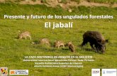 Presente y futuro de los ungulados forestales El jabalíeps.unizar.es/sites/eps.unizar.es/files/users/... · Futuro del jabalí en Aragón. La . caza. reduce los daños a la agricultura.