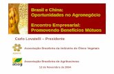 Brasil e China: Oportunidades no Agronegócio Encontro ... · Carlo Lovatelli – Presidente 1 ABIOVE Associação Brasileira da Indústria de Óleos Vegetais Associação Brasileira