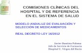 COMISIONES CLÍNICAS DEL HOSPITAL Y DE REFERENCIA EN EL ... · comisiones clÍnicas del hospital y de referencia en el sistema de salud modelo andaluz de evaluaciÓn y selecciÓn