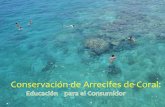 Conservación de Arrecifes de Coral...El arrecife de coral tiene un gran valor económico para Puerto Rico. Consultores Educativos Ambientales, C.S.P. 17 29/julio/2015 Los ciudadanos