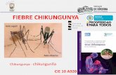 FIEBRE CHIKUNGUNYAesesanvicentedepauldelorica.gov.co/calidad/DIAPOSITIVAS CHIKV 2… · FIEBRE CHIKUNGUNYA CIE 10 A920 Chikungunya - chikungunña . GENERALIDADES La palabra “chikungunya”