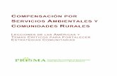 ERVICIOS AMBIENTALES Y - Bio Nica · Este informe presenta los resultados del proyecto “Pago por Servicios Ambientales en las Américas” (1999-2003), coordinado por PRISMA y auspiciado