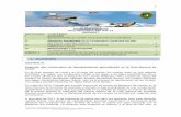 AVANCES - Iniciativa de la Organización del Sector ... · Segundo año consecutivo de blanqueamiento generalizado en la Gran Barrera de Coral1 En la Gran Barrera de Coral y en el