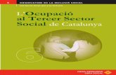 L’Ocupació de Catalunyaobservatoritercersector.org/pdf/publicacions/2010-03...4.1. Característiques principals 4.2. Les necessitats formatives majoritàries als equips del tercer