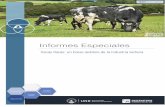 Vacas flacas: un breve análisis de la industria lechera · Informes Especiales – VACAS FLACAS: UN BREVE ANÁLISIS DE LA INDUSTRIA LECHERA . OBSERVATORIO ECONÓMICO SOCIAL | UNR