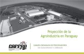 Proyección de la Agroindustria en Paraguay · pasó de 1,5 millones de toneladas anuales a 4,5 millones de toneladas anuales. Este valor alcanza apenas al 45% de la producción nacional,