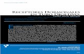 Receptores Hormonales en Tubo Digetivoincan-mexico.org/revistainvestiga/elementos/documento... · 2009-01-23 · • fibra (reducción de riesgo 40%) • ácido fólico, piridoxina,